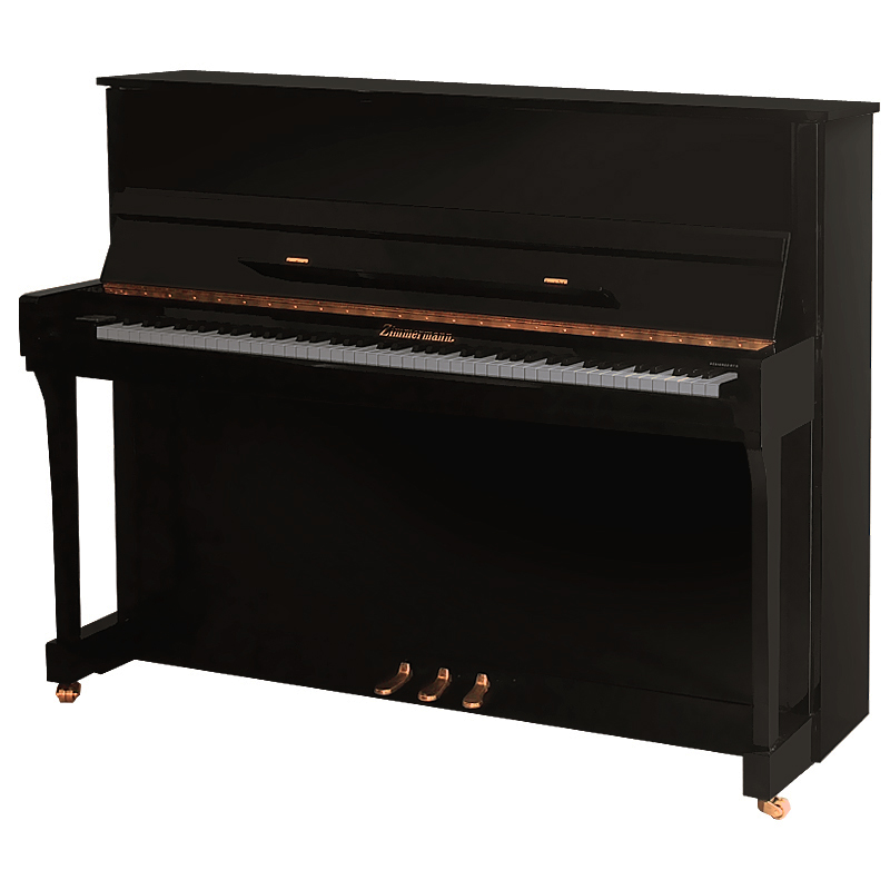 Фото Zimmermann S6