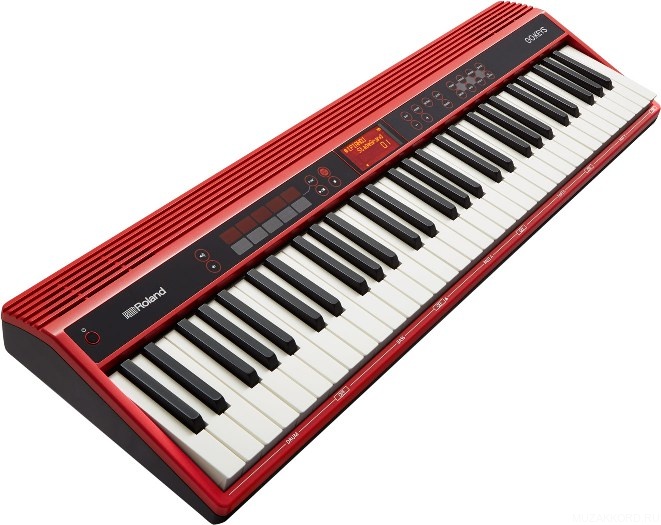 Фото Roland GO-61K