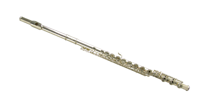 Фото Флейта WISEMANN DFL-600SSH