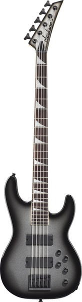 Фото Электрогитара JACKSON CUSTOM SHOP SCOTT IAN SOLOIST