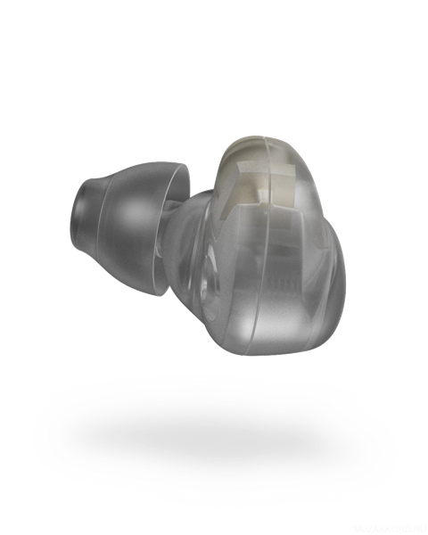 Фото FENDER DXA1 PRO IEM- TRANSP CHARCOAL