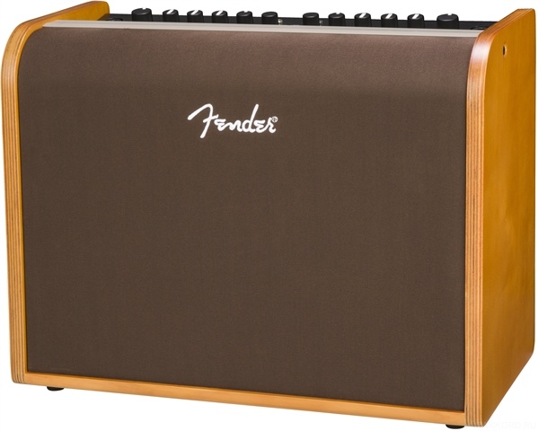 Фото FENDER ACOUSTIC 100