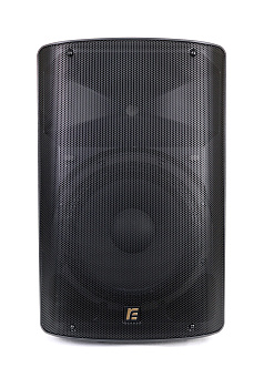 Фото Активная акустическая система RFIntell DF12A