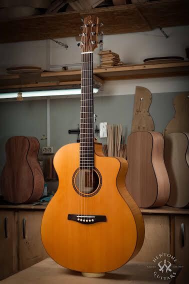Фото Акустическая гитара NewTone Maple Story GA NT 45