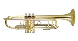 Фото Труба WISEMANN DTR-400