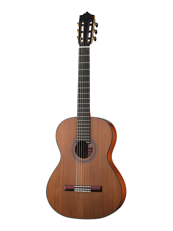 Фото Классическая гитара Martinez MC-48C Standard Series