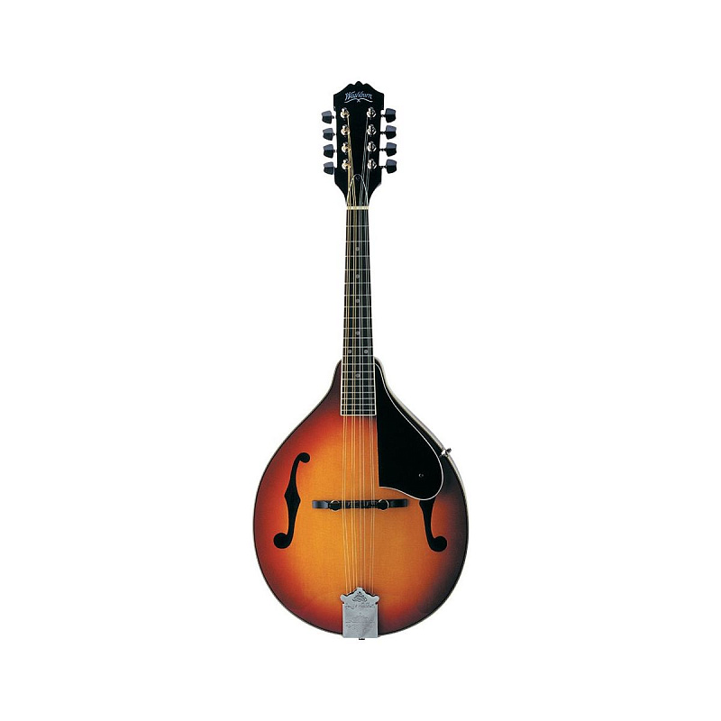Фото Washburn M1S