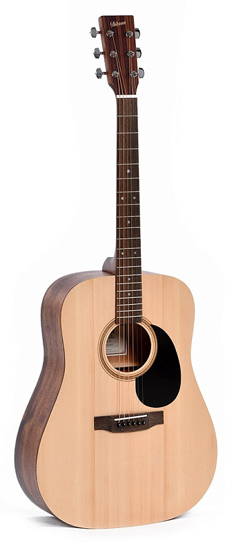 Фото Гитара Ditson D-10
