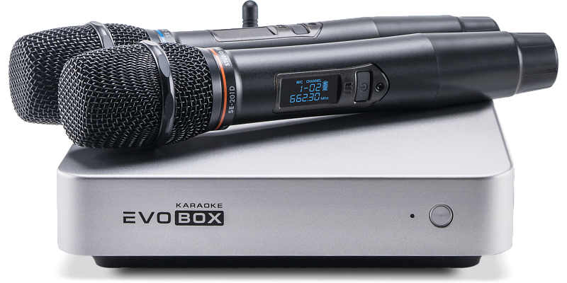 Фото Караоке система Evolution EVOBOX Plus Silver