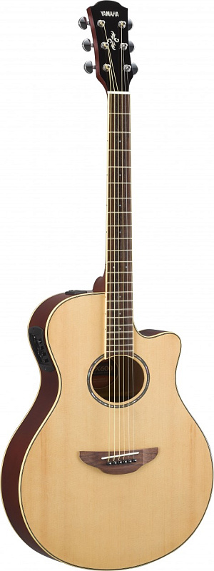 Фото Yamaha APX600N