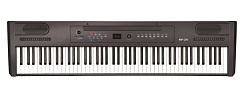 Ringway RP-20