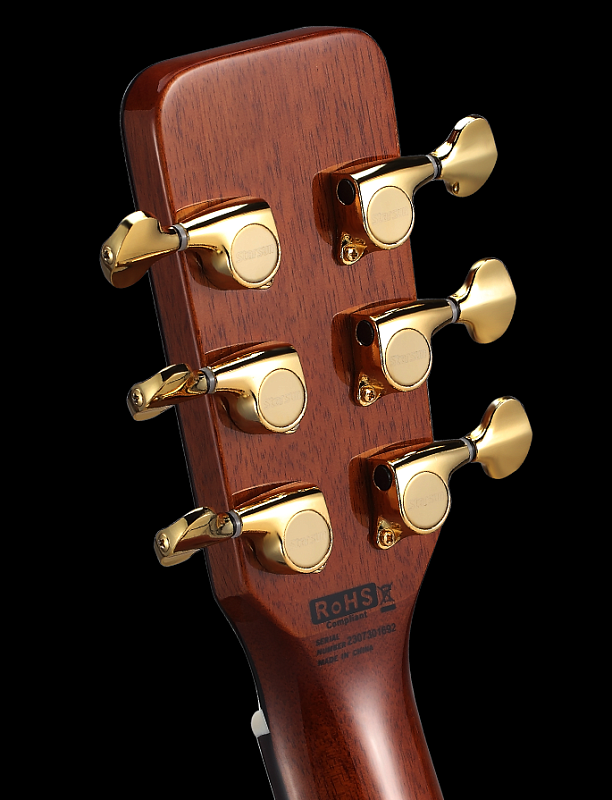 Фото Акустическая гитара STARSUN DF10