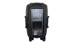Активная акустическая система Leem SPA-12