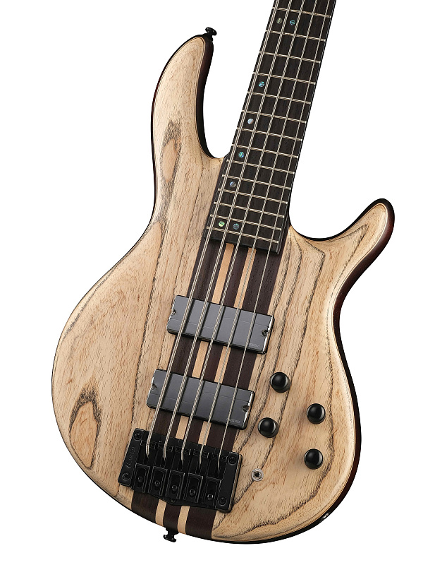 Фото Бас-гитара Cort A5-Ultra-Ash-WCASE-ENB Artisan Series