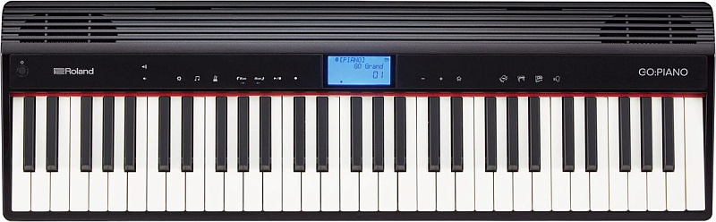 Фото Roland GO-61P