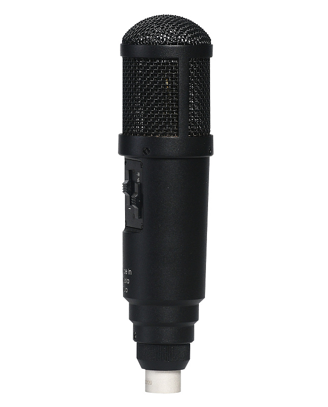 Фото Микрофон Октава 319211 МК-319-Ч-С стереопара
