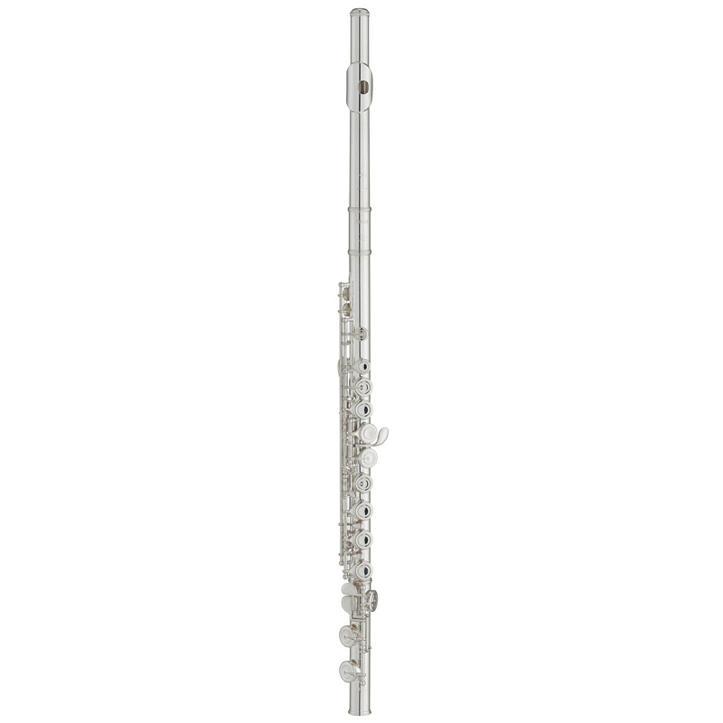 Фото Флейта MIYAZAWA BR-603REH CUSTOM-4