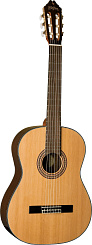 Washburn C80S
