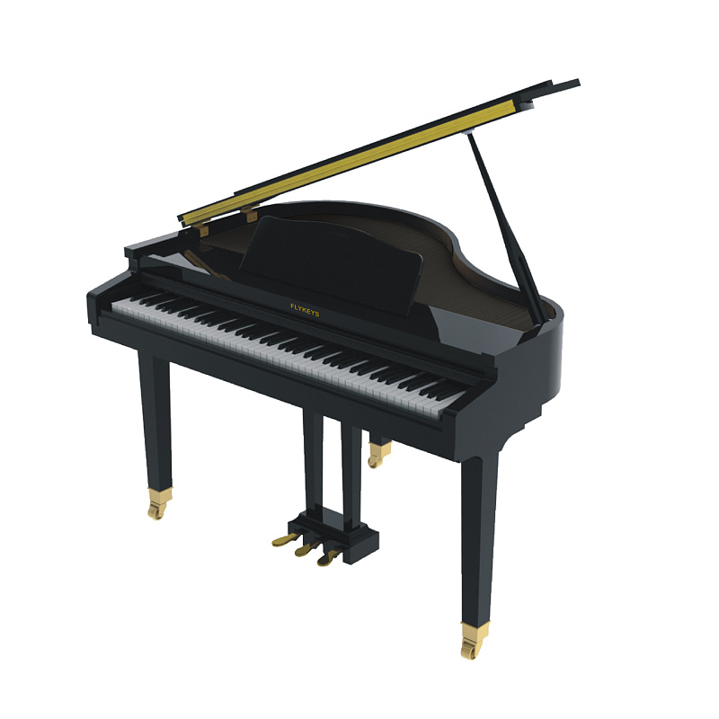 Фото Цифровой рояль Flykeys FGP110 черный