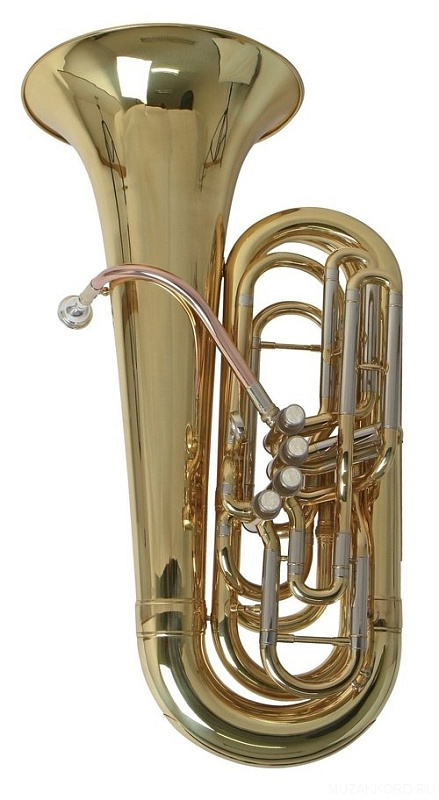 Фото ROY BENSON TB-312C